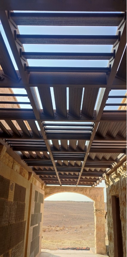 Qasr Al-Hallabat WPC detail